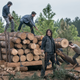 Yes, that’s Aaron (Ross Marquand) on the wrong side of the log.